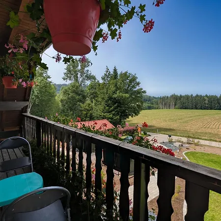 Spacieuse Avec Balcon Et Acces Piscine Chauffee - Fr-1-589-701 Anould